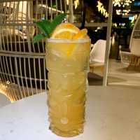 Oasis Bar & Grill