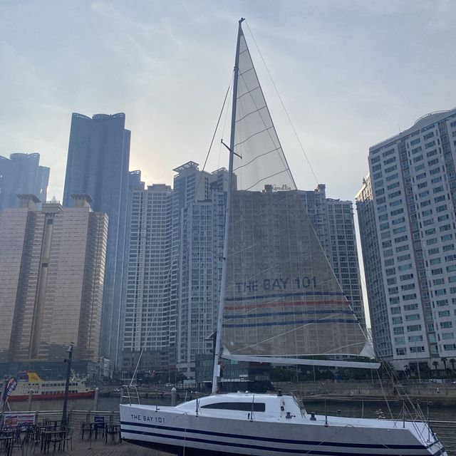 더베이 101에서 패들보드 즐기기