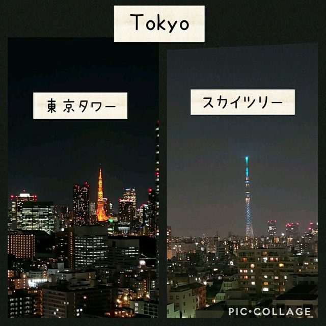 【東京】東京タワー、スカイツリー