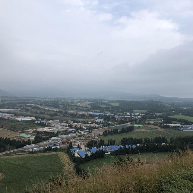 제주 오름 중 가장 핫한 오름 🎊⛰