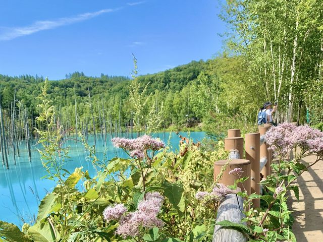 【北海道観光】北海道といえばココでしょ！？
