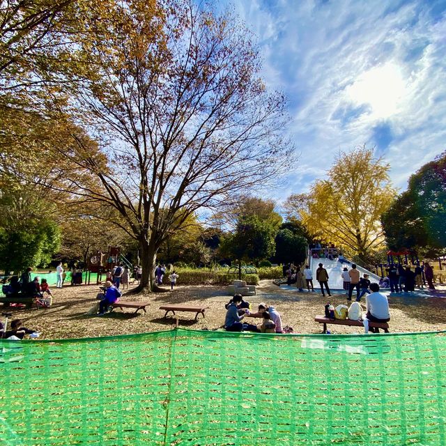 国営昭和記念公園のわんぱくゆうぐ