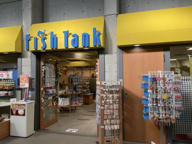 岐阜🐠世界最大級の淡水魚水族館🐡【アクアトト岐阜】
