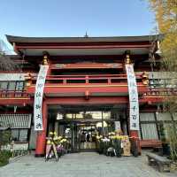 秩父神社(埼玉)