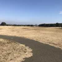 國營日立海濱公園💕🌹日本🗾賞花必去