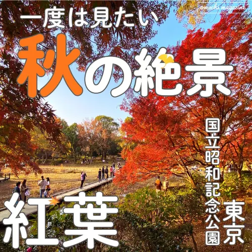 【広すぎる公園!】東京・立川の国営昭和記念公園を楽しむ