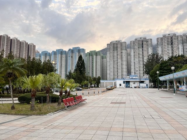 平靜的擁抱怒與哀樂