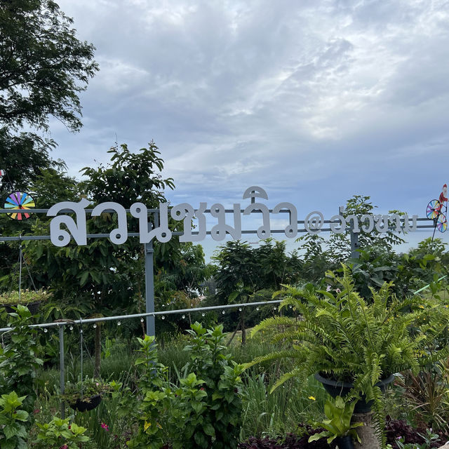 คาเฟ่บนเขาที่อ่าวมะขาม / ภูเก็ต