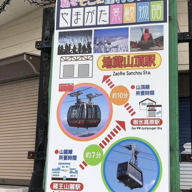 藏王樹冰日本🇯🇵冬日夢幻國度