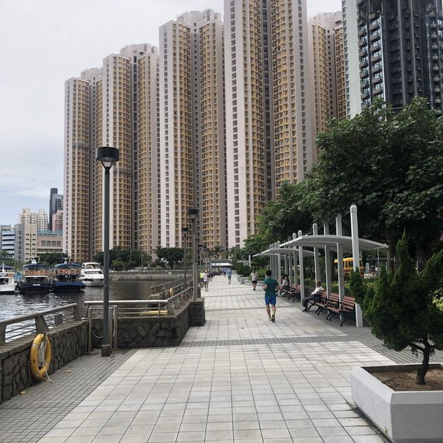 避風塘嘅無敵海景 避風塘嘅無敵海景