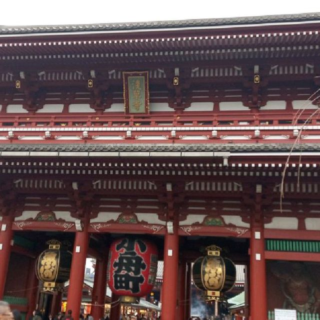 東京暢遊