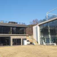 통창 밖으로 노을과 포레스트뷰가 보이는 청주 🤍엔트라포레🤍