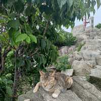 강화도 마니산