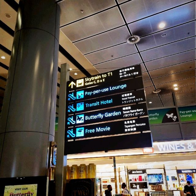 Butterfly Garden In An Airport