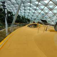 Discovery Slides