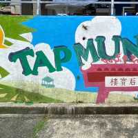 塔門生態一日遊🙈‼️超大草地藍色海岸😆欣賞香港美景