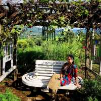 Coffe in Love Restaurant and Viewpoint