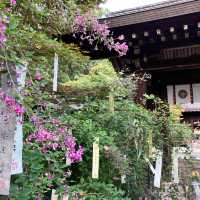 【京都】京都三名水を味わえ四季の花が楽しめる