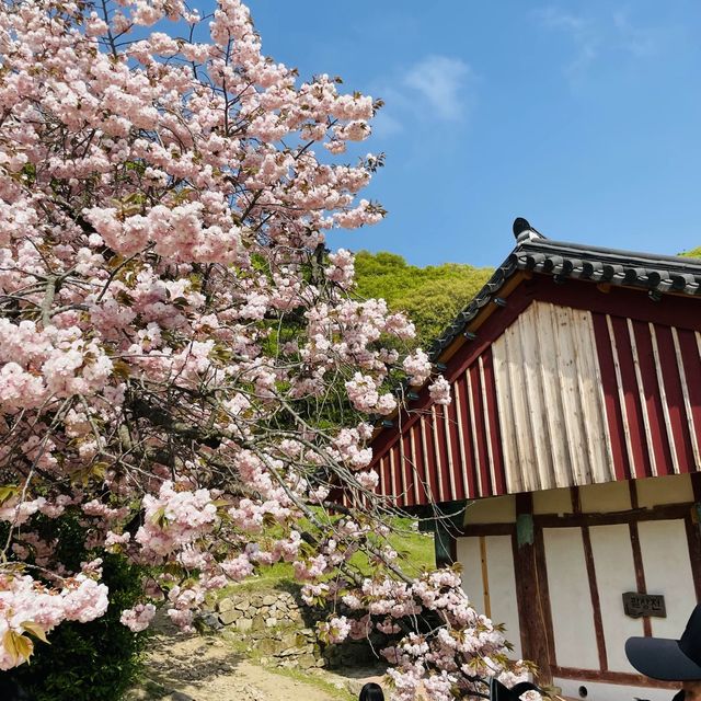 개심사 