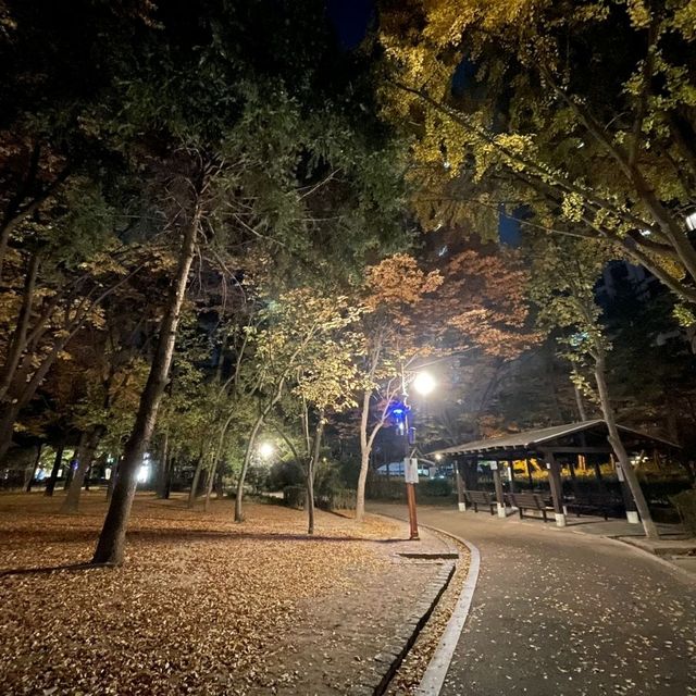 서울 도산공원