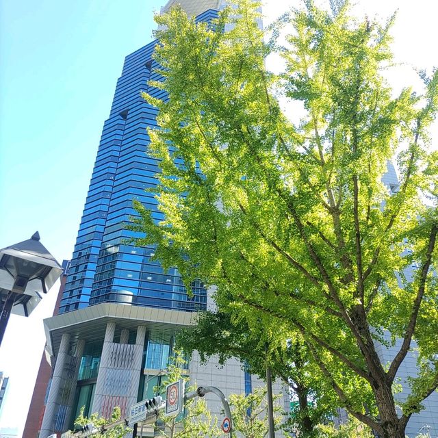 大阪！さすが御堂筋の銀杏並木