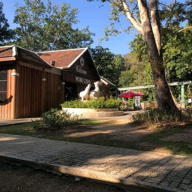 🦩🦘 Chiang Mai Zoo 🦥 🐘