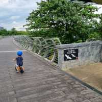 Bonding with Nature in Seng Kang