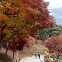 청주의 단풍 명소 청남대🍁