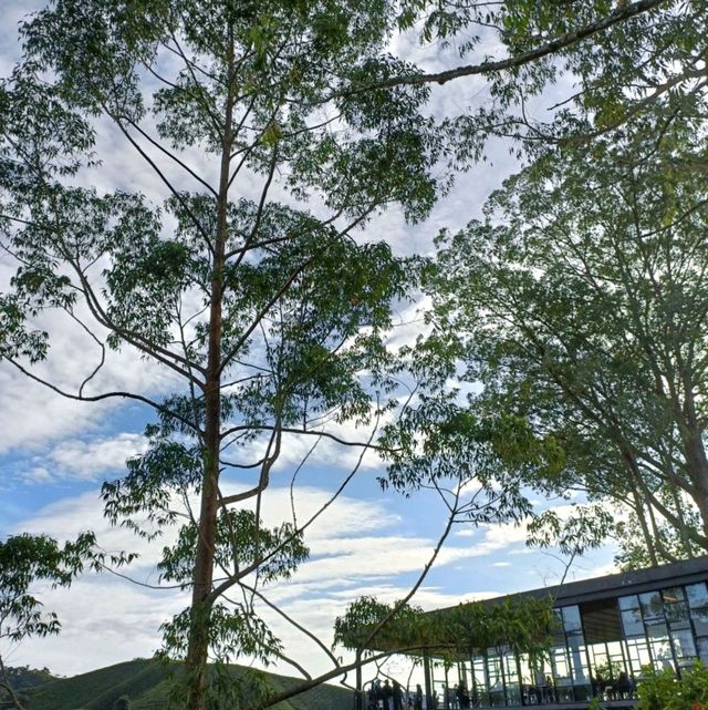 说走就走的金马仑一日游