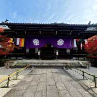 紅葉見に行こ～うよ～【禅林寺 永観堂】✨