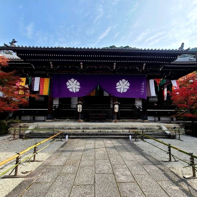紅葉見に行こ～うよ～【禅林寺 永観堂】✨