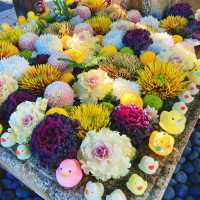 【京都】誰が置いたかアヒルさんの花手水🐤