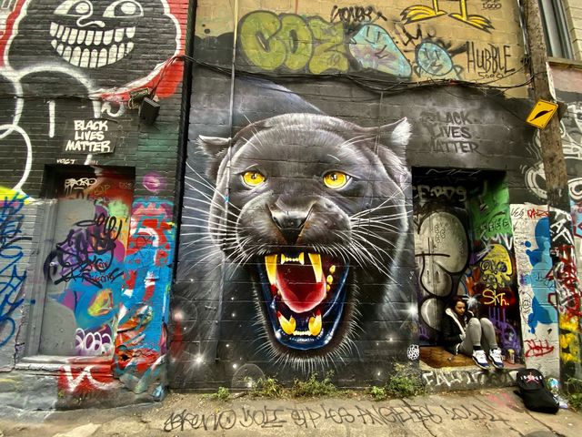 Graffiti Alley at Downtown Toronto