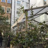 A courtyard of flowers 