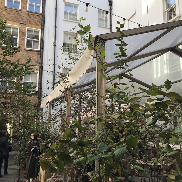 A courtyard of flowers 
