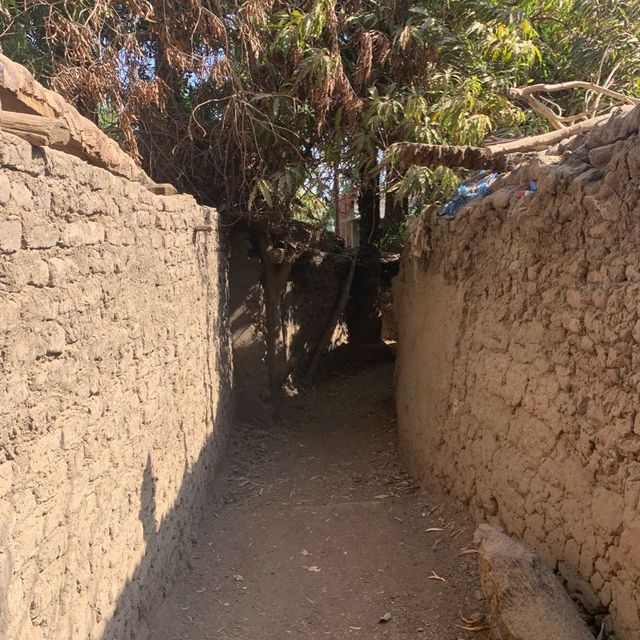 Beautiful Elephantine Island 😊