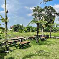 Beautiful Cafe & Resto in the Rice Fields