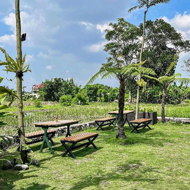 Beautiful Cafe & Resto in the Rice Fields