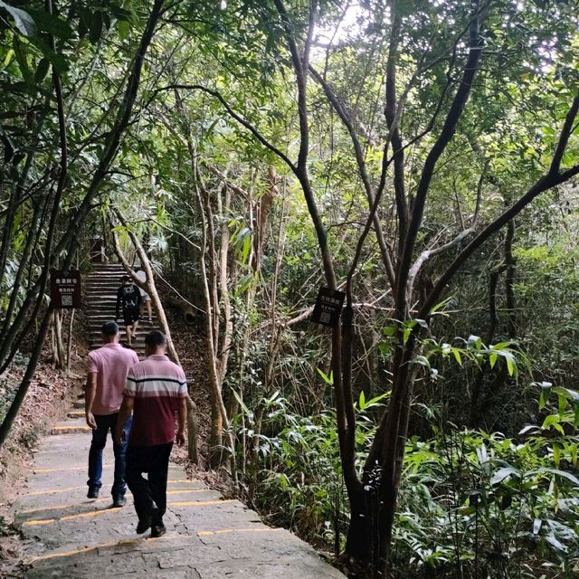 Conquering your fears at Yalong Rainforest