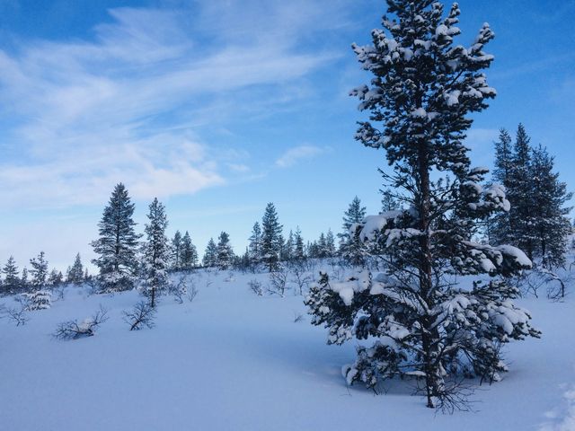 Hiking Routes in Lapland, Finland 🇫🇮☃️✈️❄️