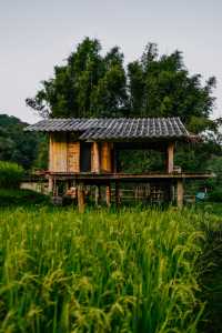 ที่พักหลักร้อย นาขั้นบันไดบ้านปางมะโอ