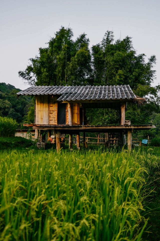 ที่พักหลักร้อย นาขั้นบันไดบ้านปางมะโอ