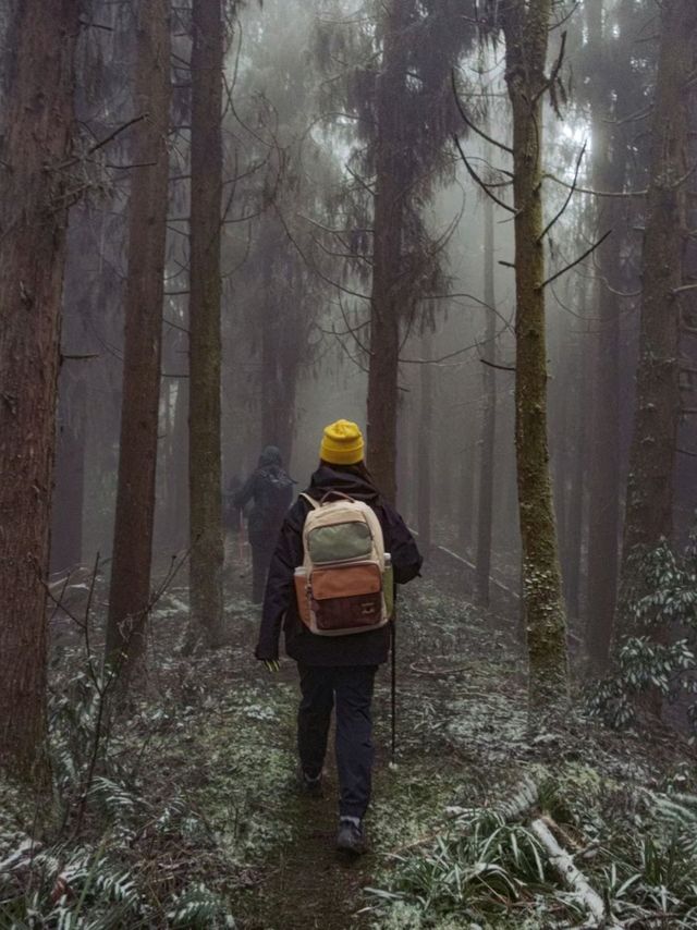 Winter Hike in Chengdu's Nanbao Mountain