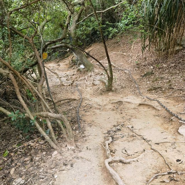 Crazy hiking in Shenzhen  🌴