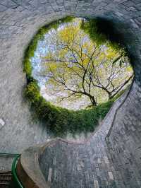 Singapore Dragon's Den | Fort Canning Park • Tree Hole Observatory 🌳 Hidden in the lush greenery