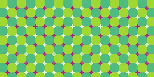 "Seeing is Believing? The Secrets of Visual Illusions Unveiled" | Free School Lane