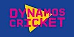 Y3/4 Dynamos Cricket TUNBRIDGE WELLS | The Nevill Ground