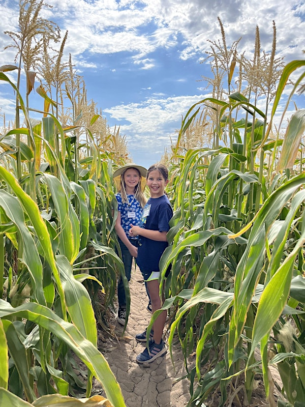 Monsoon Farmers Camp '25 | Tucson Village Farm 4-H Healthy Living Center