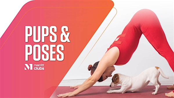 Pups & Poses | Merritt Clubs Fort Avenue/Federal Hill