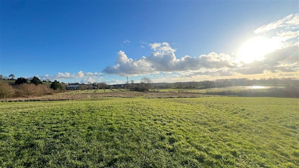 Hedgelaying course - Brides Fields | Bride's Mound